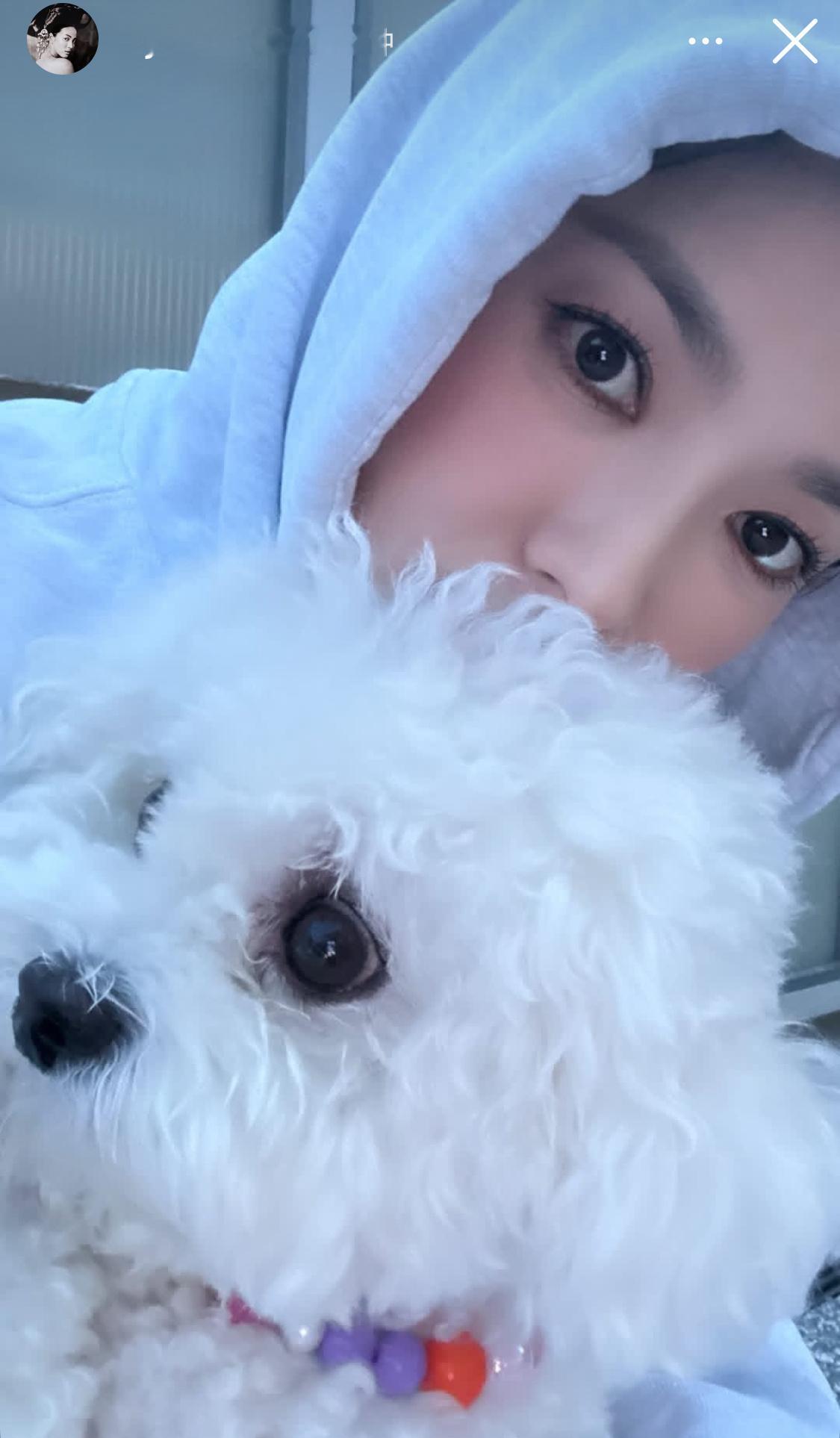 宋慧乔更新ins，乔妹又在吸狗🐶 ​​​