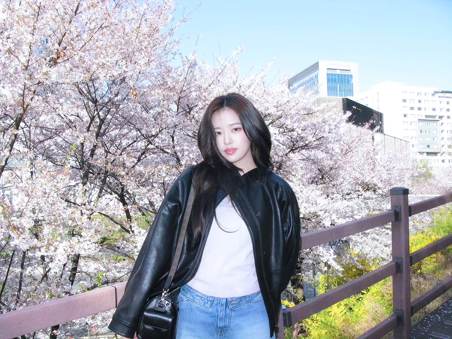 安宥真anyujin🌸🎐 