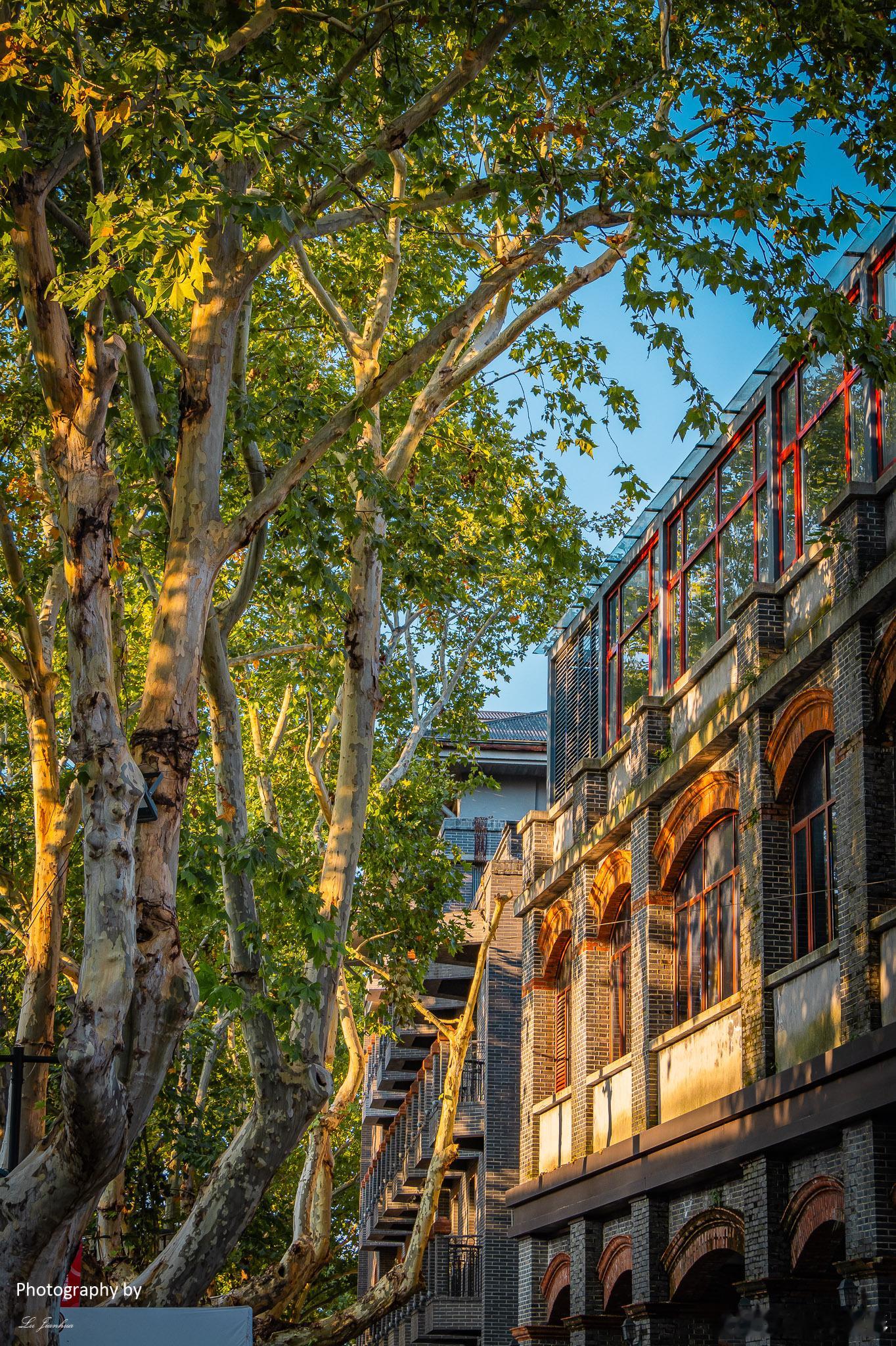 🌅【西津渡印象】夕阳下的诗意画卷🎨当我站在镇江西津渡，夕阳的余晖洒在身上，那