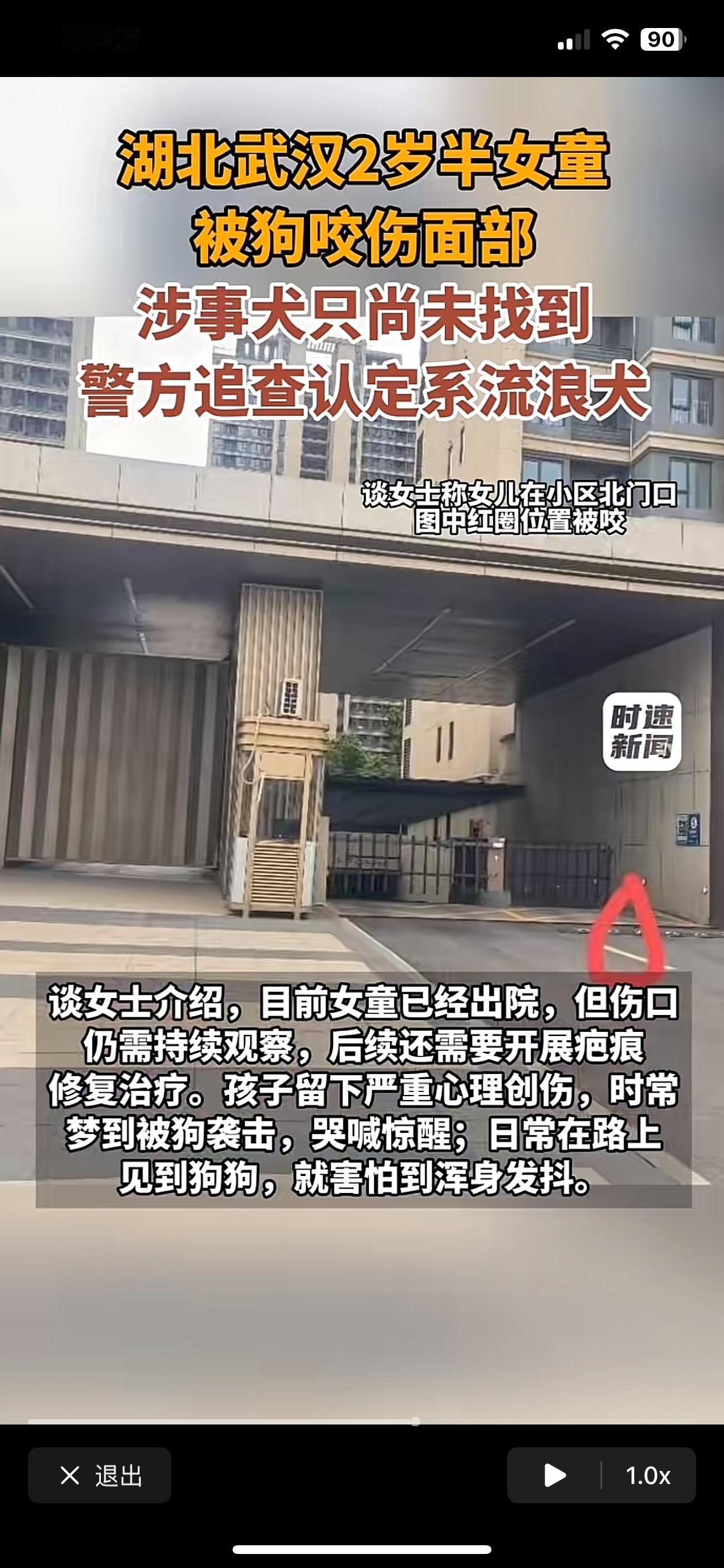 保安清理流浪狗：动保、爱心人士全面发声
流浪狗咬伤儿童：动保、爱心人士一片寂静