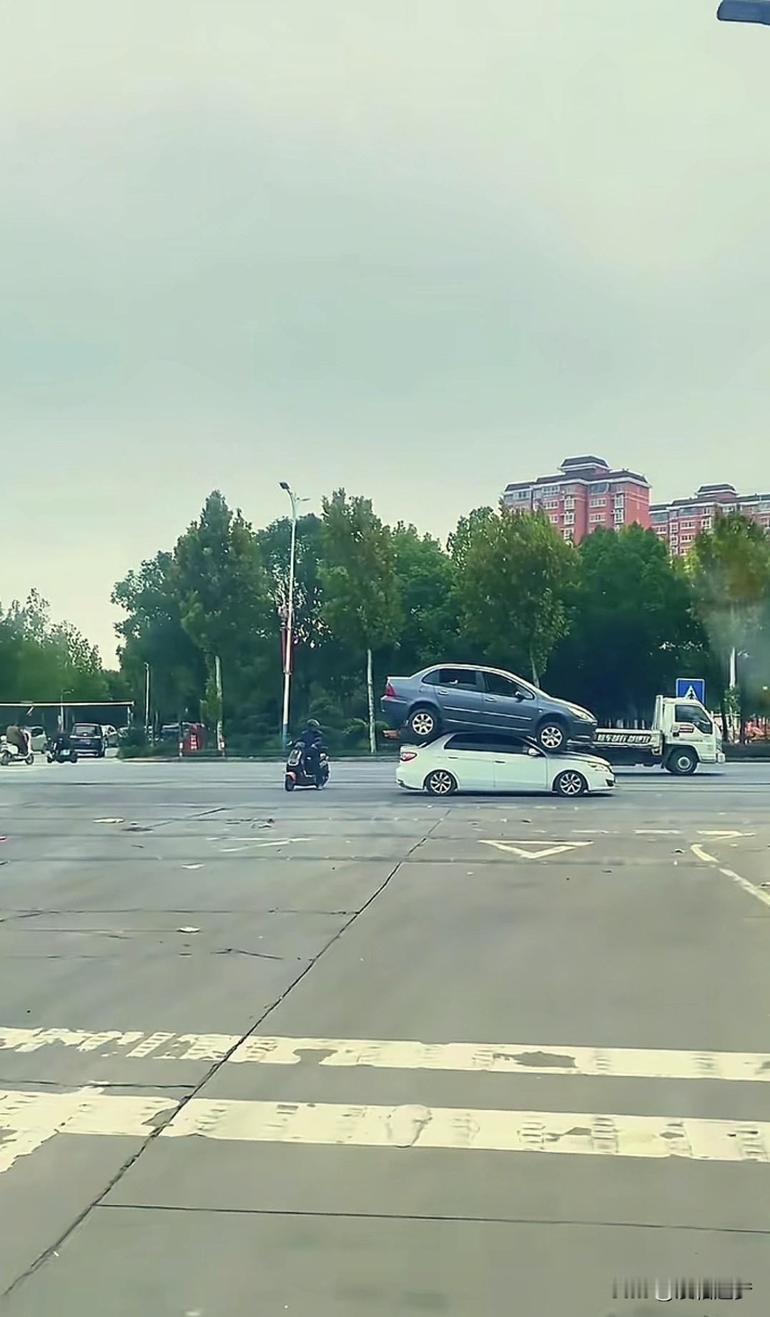 “解释不清了！”河南，一网友在路上突然偶遇神 奇的一幕：一辆停在路边的白色轿车顶