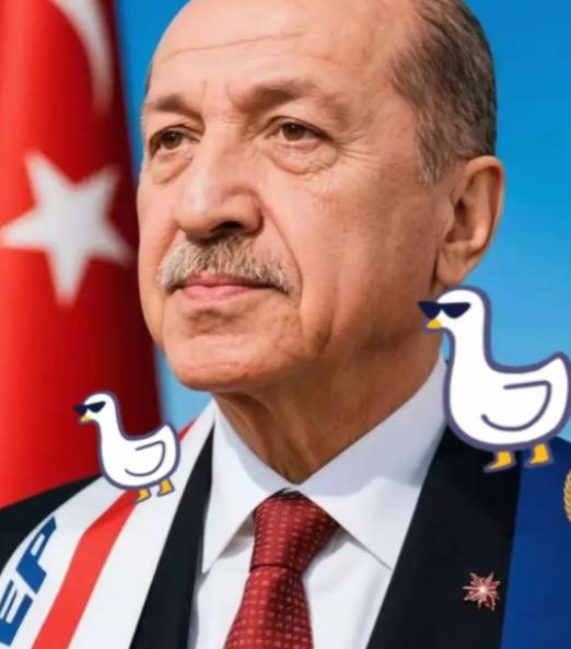 这次土耳其算是彻底打错了算盘！以为还能像当年卡我们要道那样，逼着中国企业低头。结