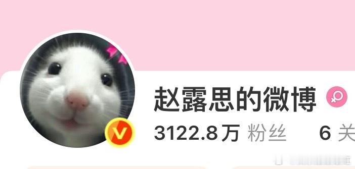 赵露思新头像 ​​​