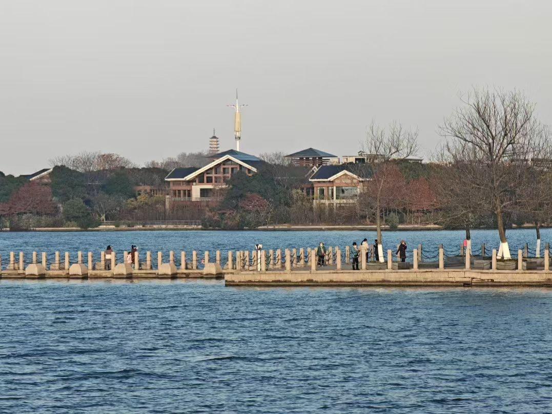 ✨建筑在对岸枕着树影，栈桥如丝带系住一汪温柔，每朵涟漪里，都藏着光阴与水波的浪漫