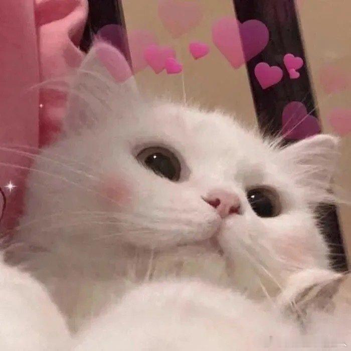 #短剧终于进化成我们想看的样子#里面的一些画面制作的特别优秀，而且对于我们来说用