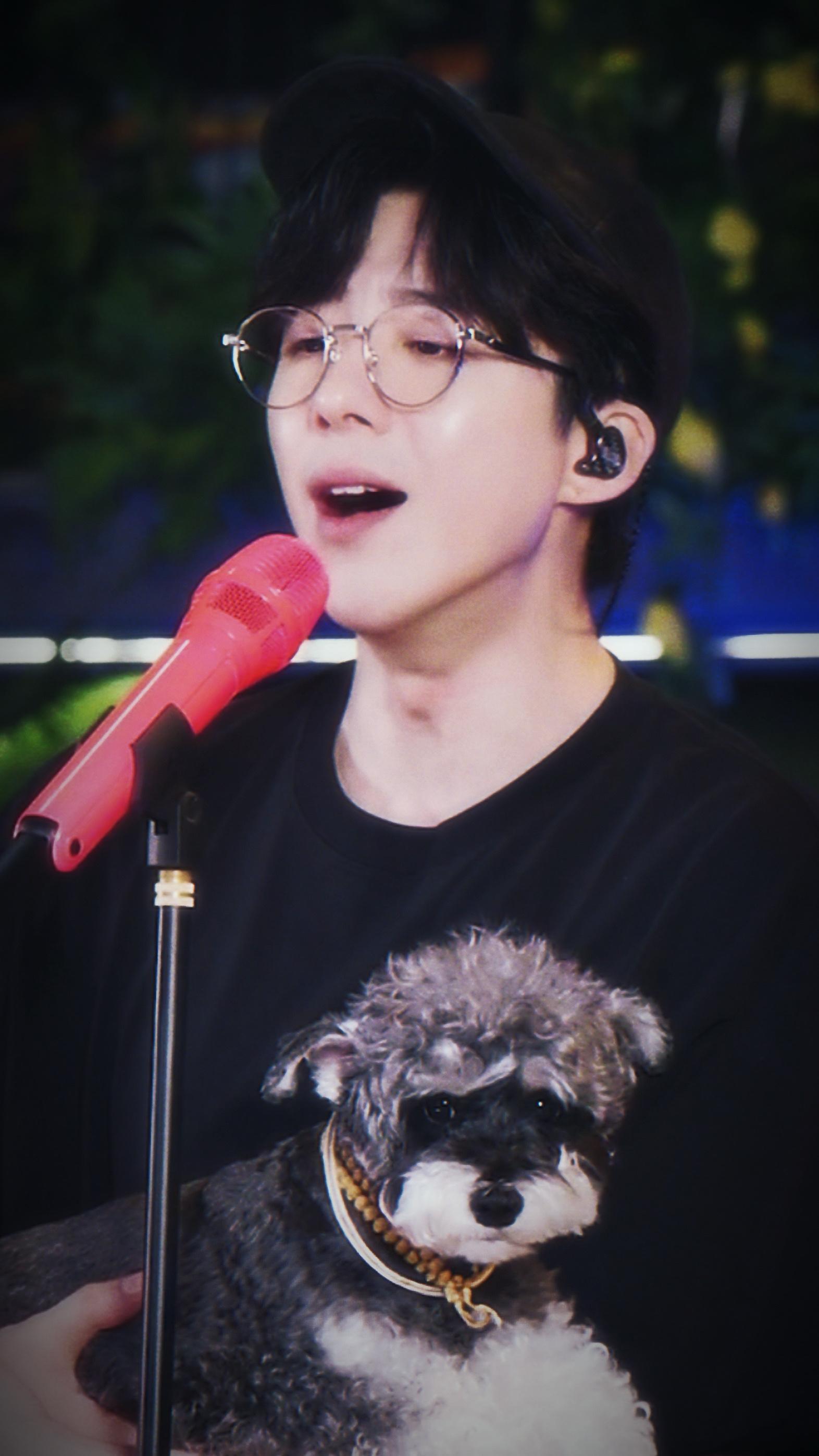  ૮₍ •᎔•₎ა 