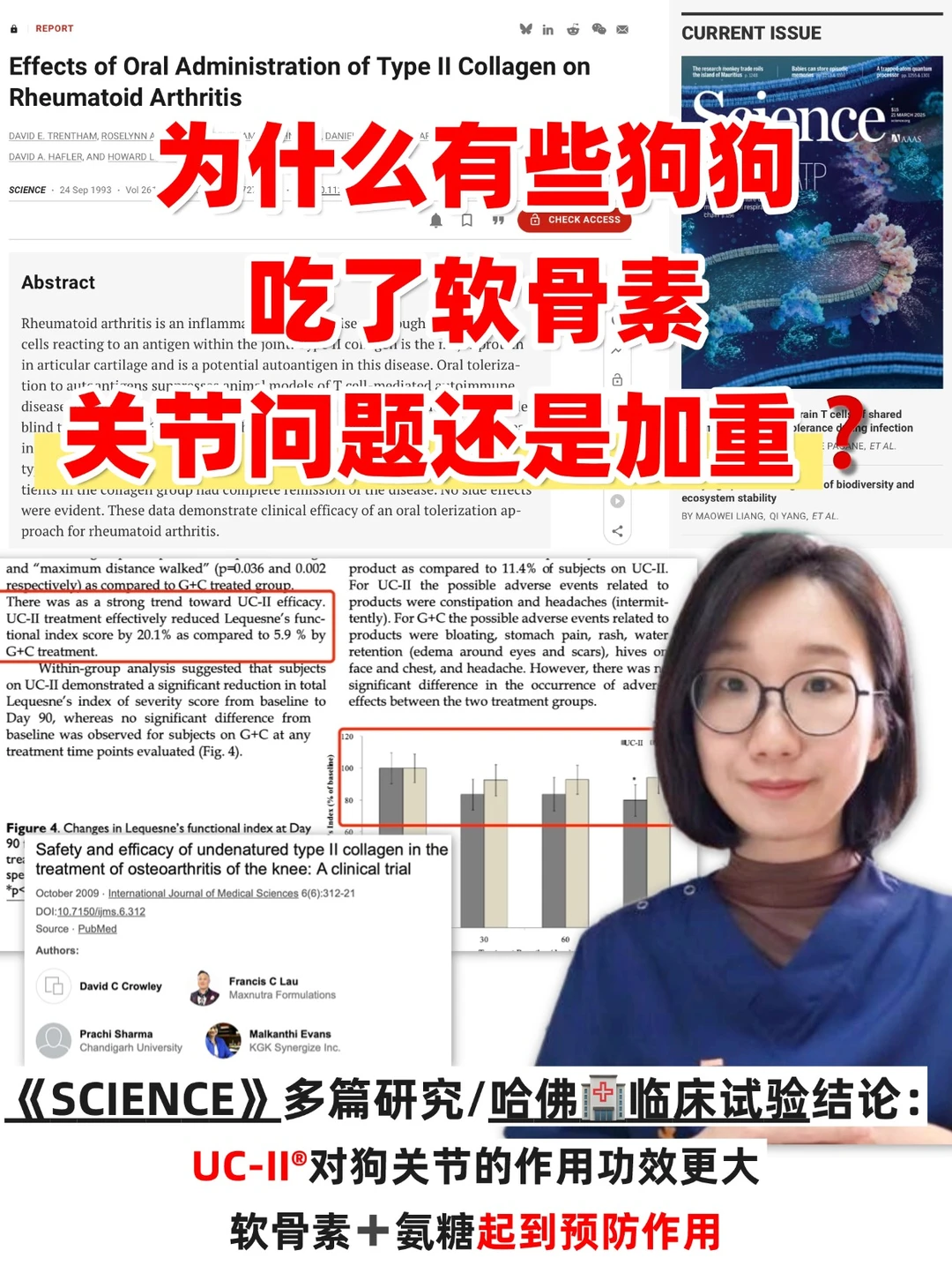 狗关节问题改善慢❓还有这个黑科技
