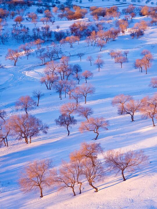 反向旅行❄️冬日赤峰美成磅礴中国画！