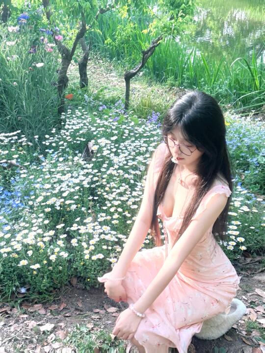 春日花海浪漫💐