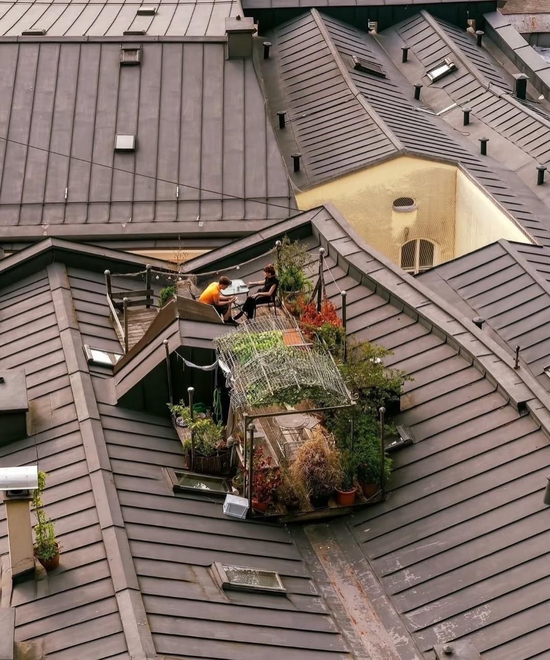 如果顶楼有这样一块小屋顶，你愿意把它打造成空中花园吗？
方寸屋顶，也能装下诗和远