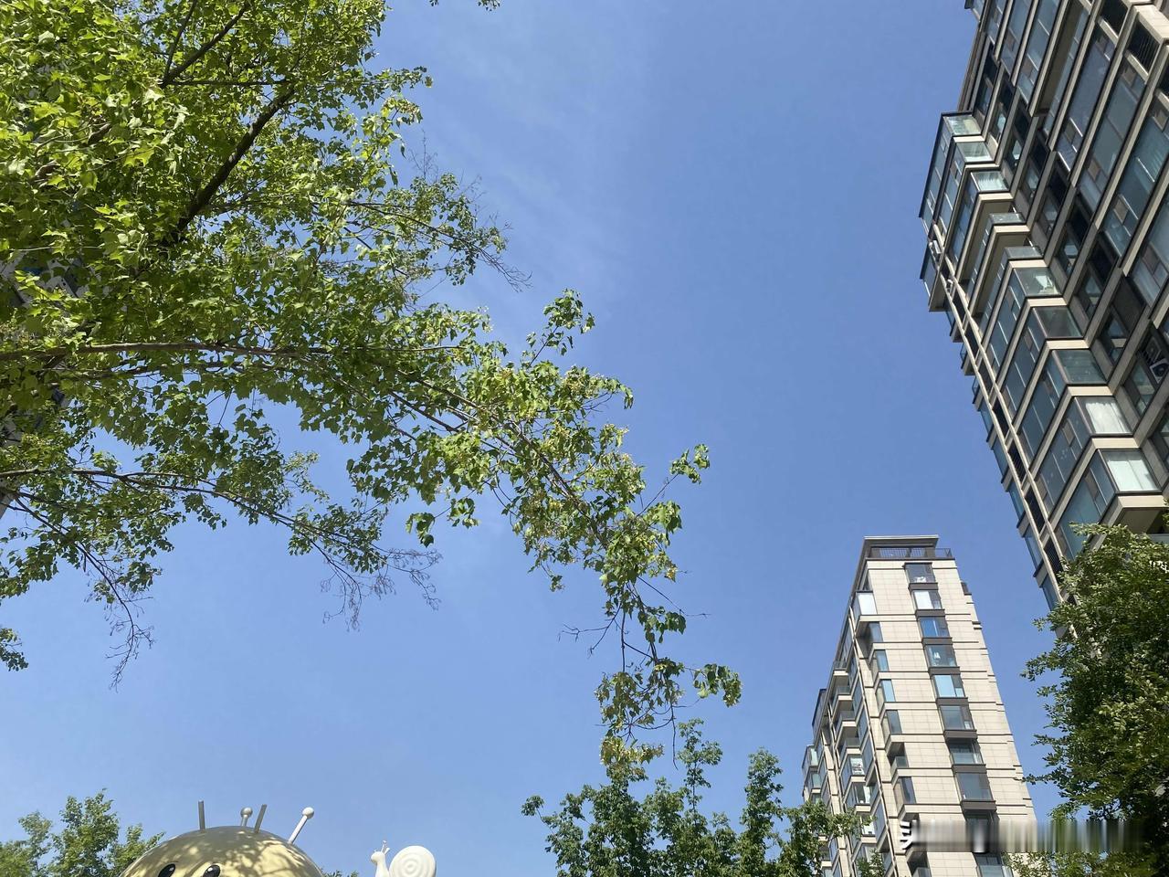 晒图笔记大赛现代都市与自然绿意交织的和谐美景