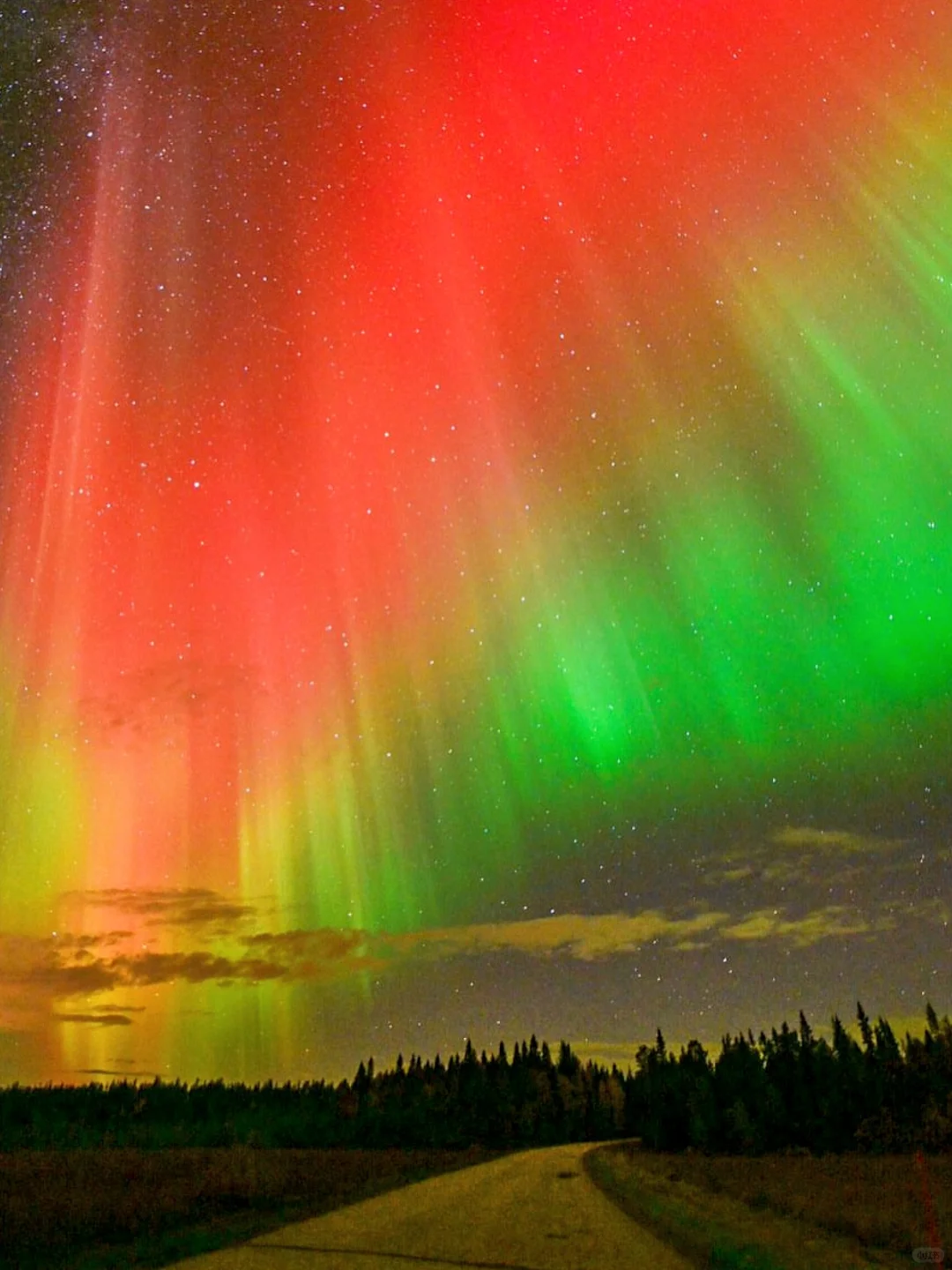 去挪威旅游前需要知道的事‼️