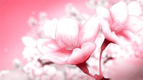 今日份好运已派送💌上榜星座：金牛座、巨蟹座、天蝎座 
