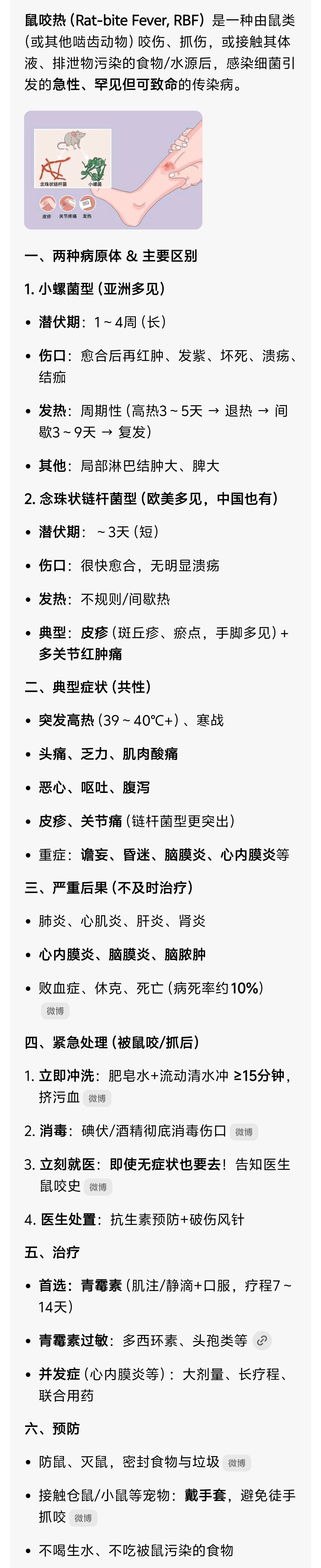 被老鼠咬10天后确诊鼠咬热 鼠咬热！罕见但可致命的传染病 可怕小时候环境很“原生