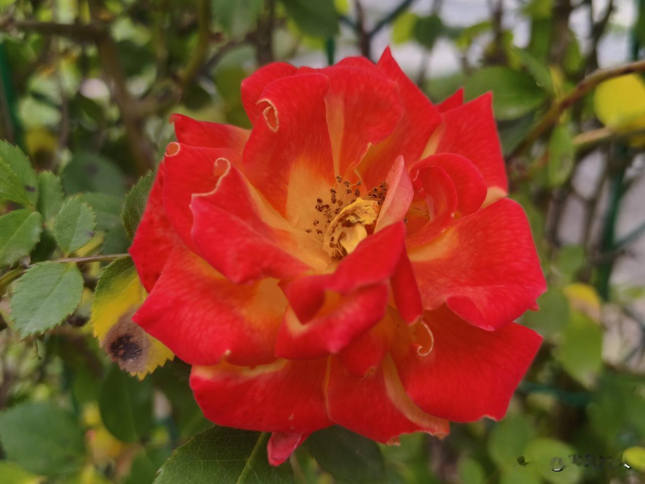 换个心态看问题。天气总有风风雨雨，生活总有起起落落。我们不能改变天气，却可以左右