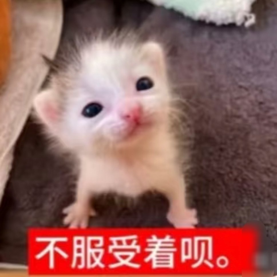 私人博 爱说啥说啥前世          接红稿/洗gc 此条找我rs和yxh发