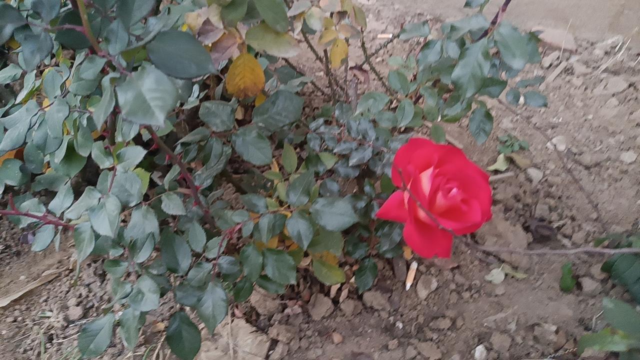 【上头条聊热！春节那些“怕事”的瞬间，你中招了吗？】

春节临近，喜庆的氛围弥漫