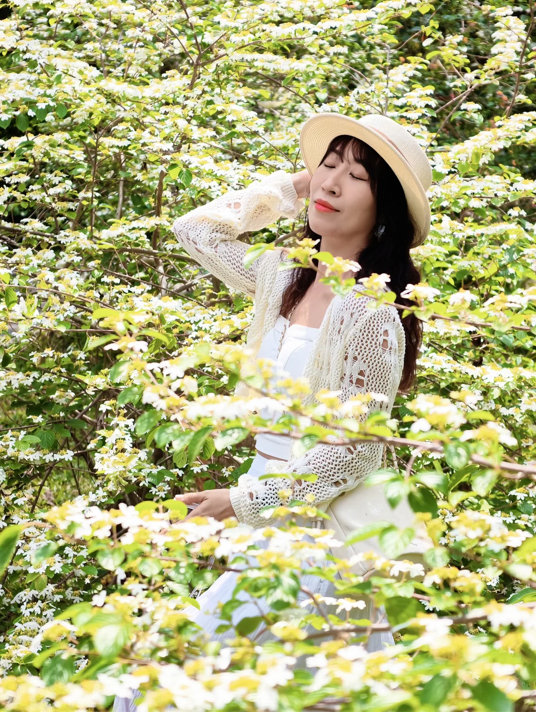 3.24实况｜来园博园去拍蝶花荚蒾‼️