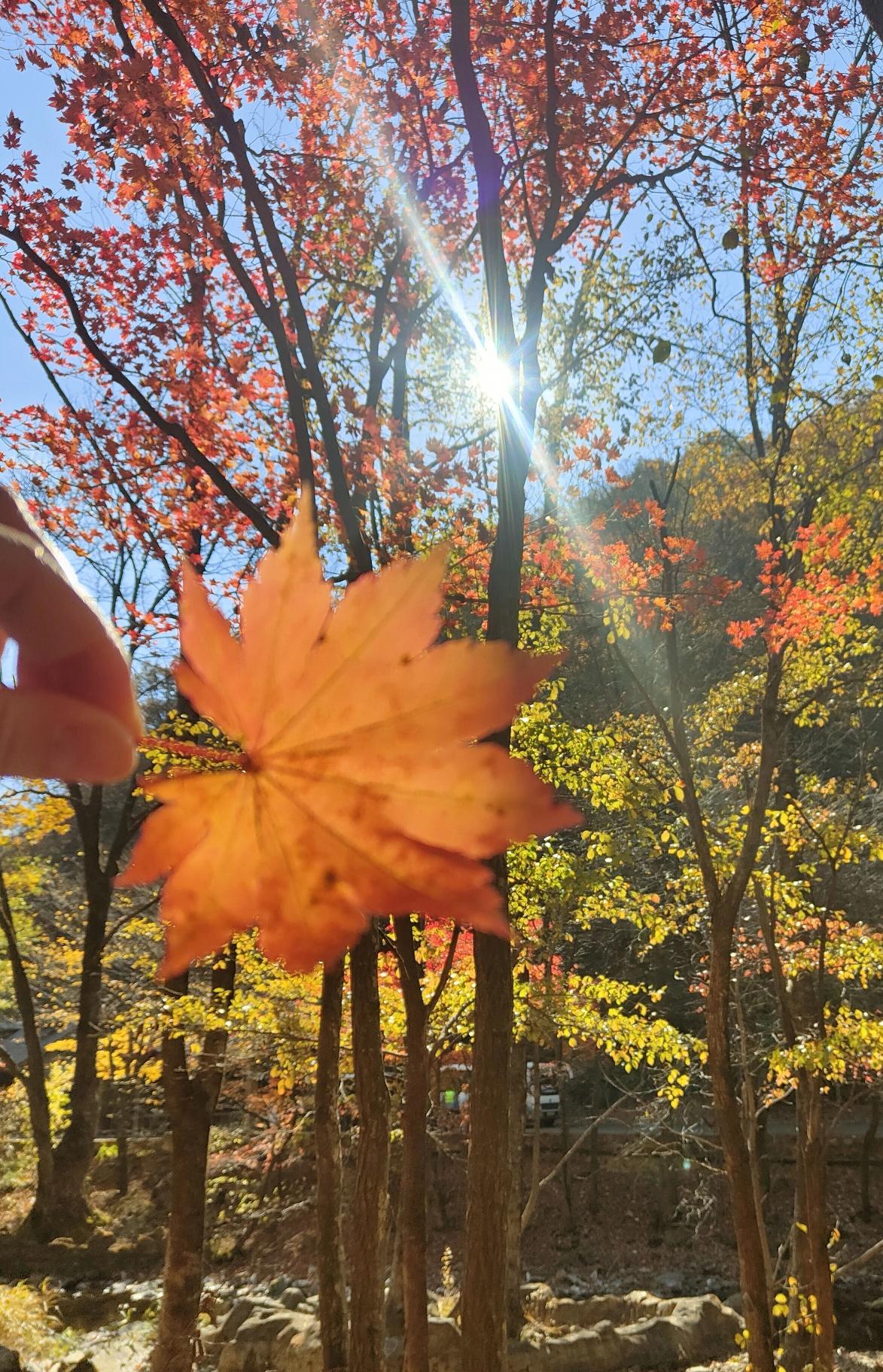 随手拍下的美好时光