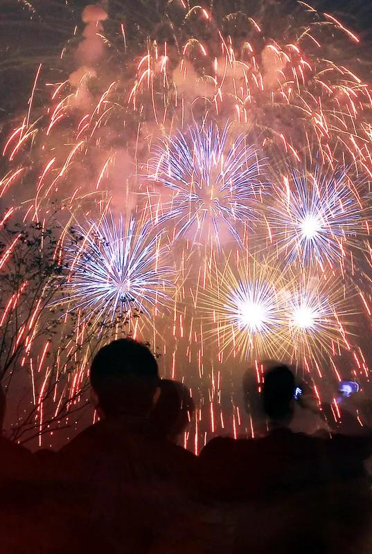 新年的光
 
新年的钟声，如灵动的风
穿过夜的寂静，轻轻敲响
在时光的转角，与新