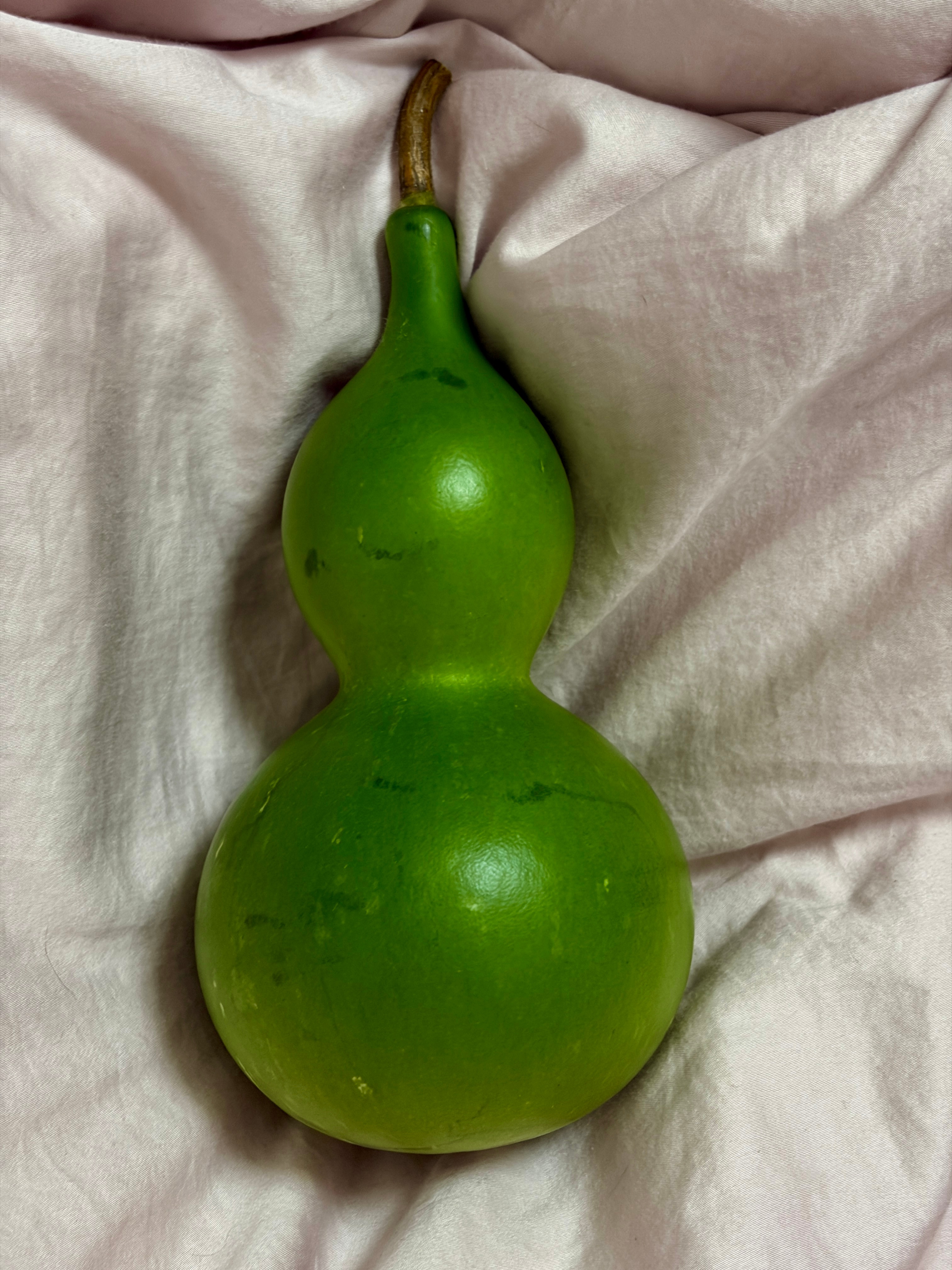 绿色葫芦居然这么重！沉甸甸的估计有个两斤葫芦很好玩，大家可以买个玩玩 ​​​