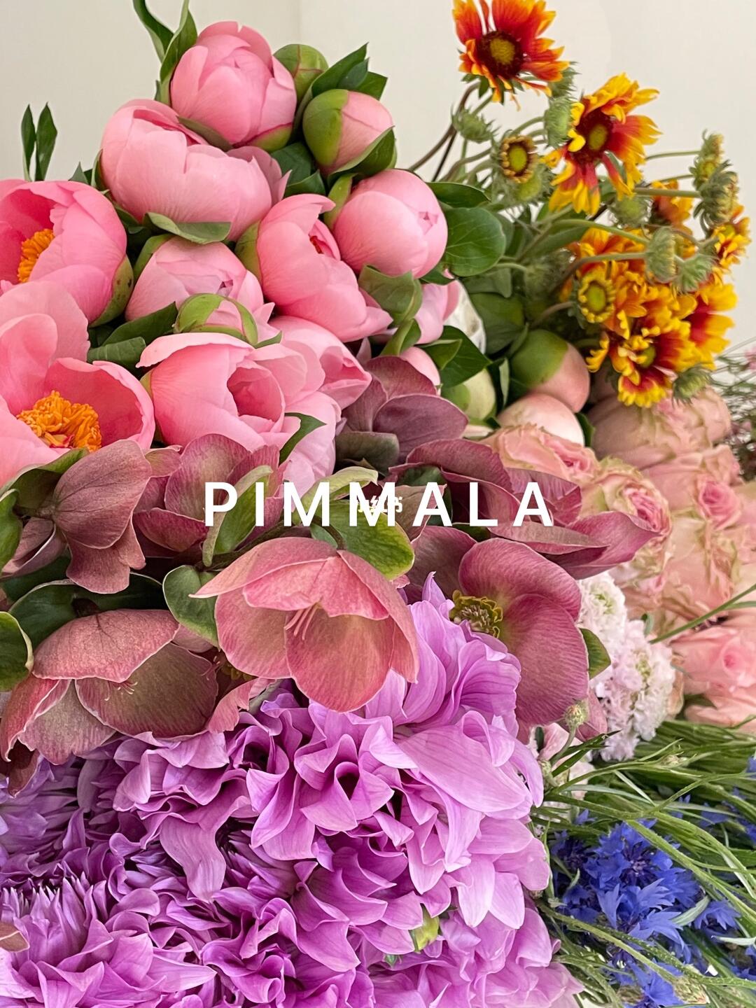 PIMMALA｜早