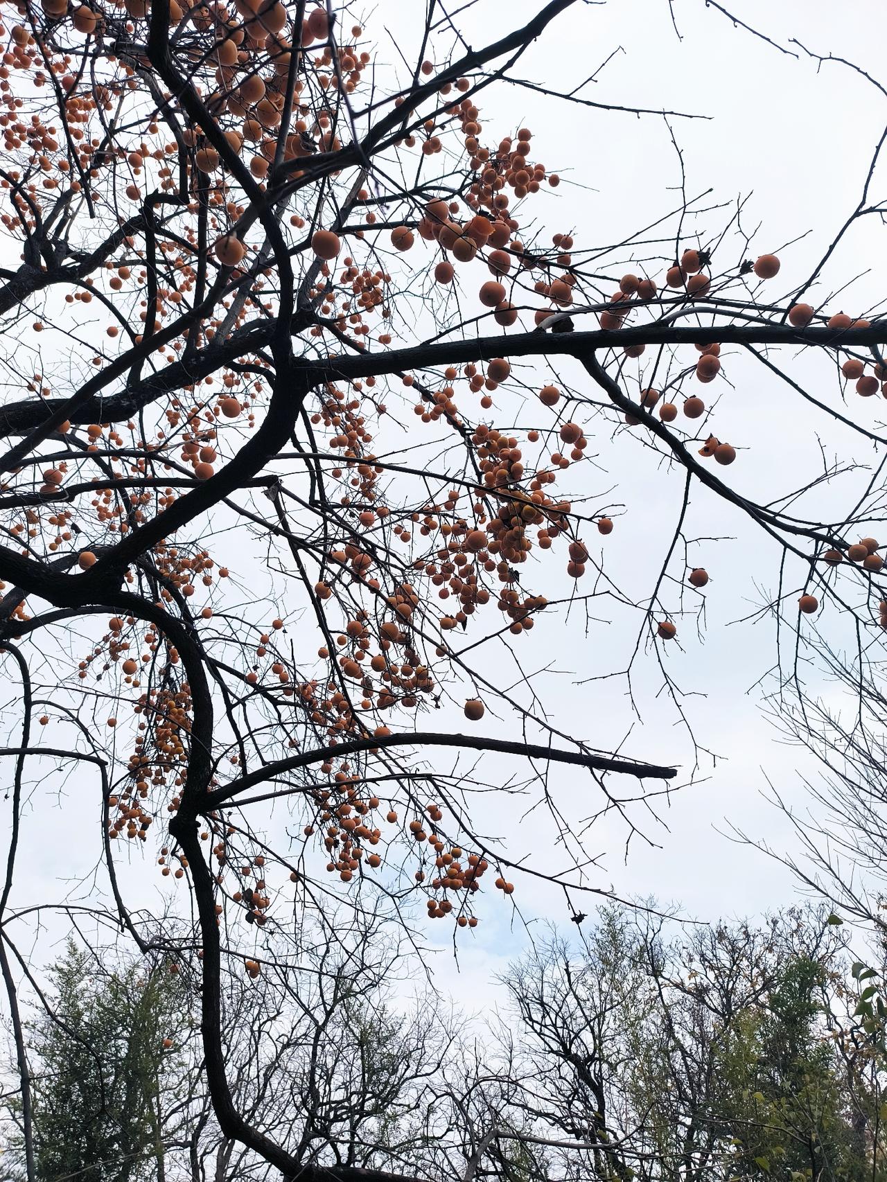 你还记得小学的老师吗？

小王是一家知名企业的副总，今年39岁，聊起了上学的事，