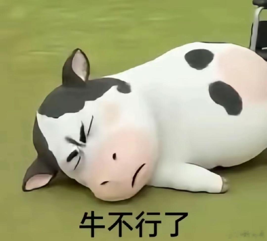 刚下班洗漱完，睡了（看会手机）明天五点半起床