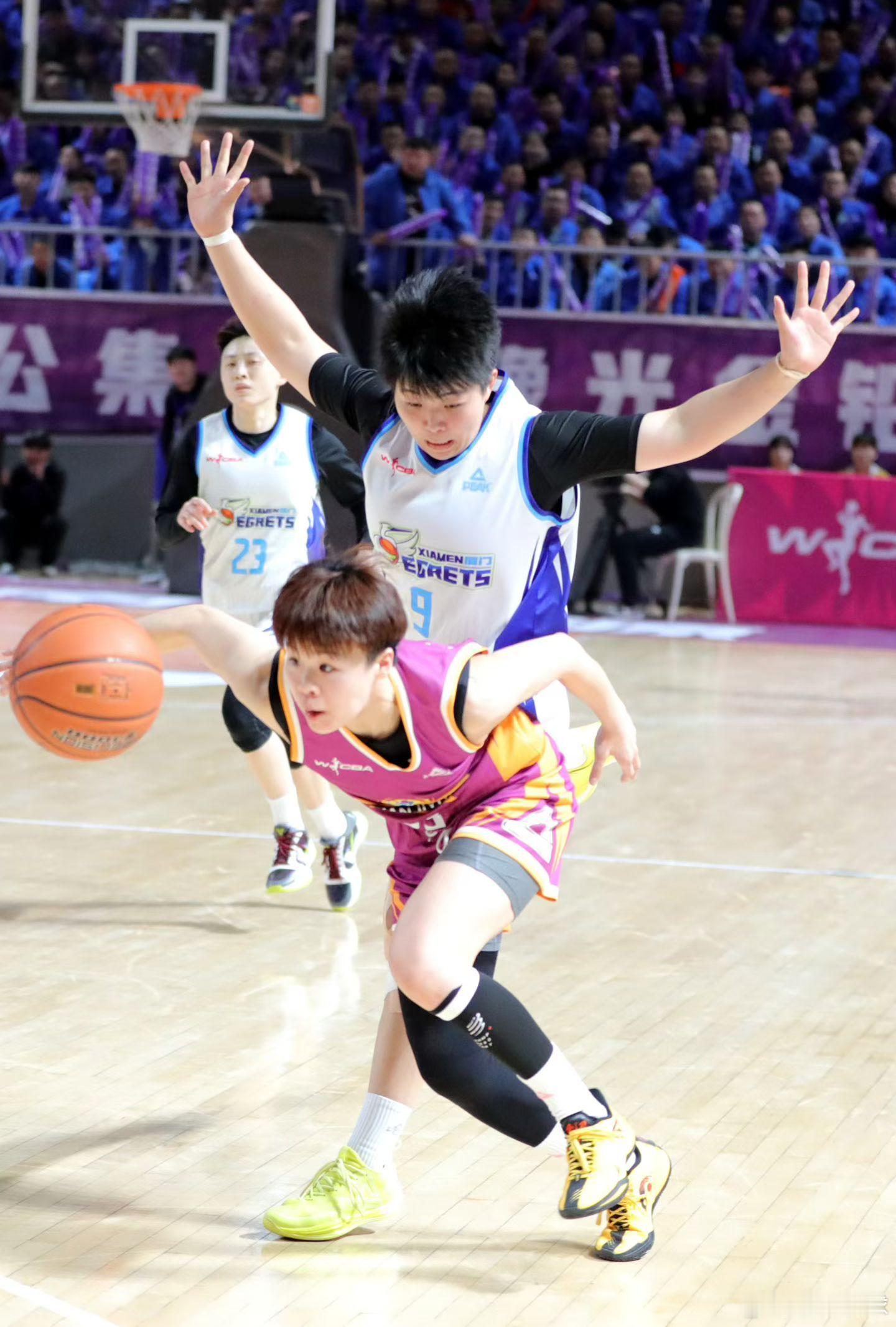 换帅如换刀！昨晚的济源篮球城，充满了胜利的味道！老徐说球之旅河南篮球河南豫光金铅