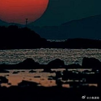 关于旧物鞋柜角落里有一双帆布鞋，洗得发白，鞋带系着很紧的结。你试过解开，结已经死