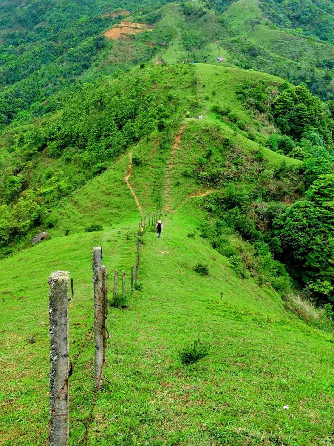 不用去武功山！广东这9大高山草甸太绝了！