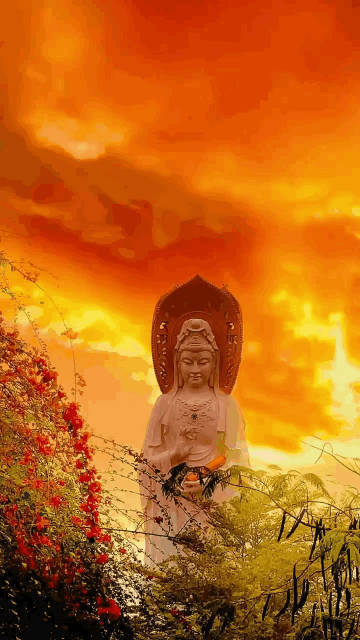 刷到观音菩萨请不要无视 真的很灵🙏 ！！！ ​​​