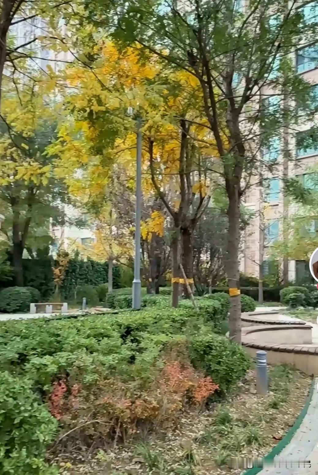 房子卖了还得给银行搭钱
       一套房子赔大概100万出头，这个房子相当于