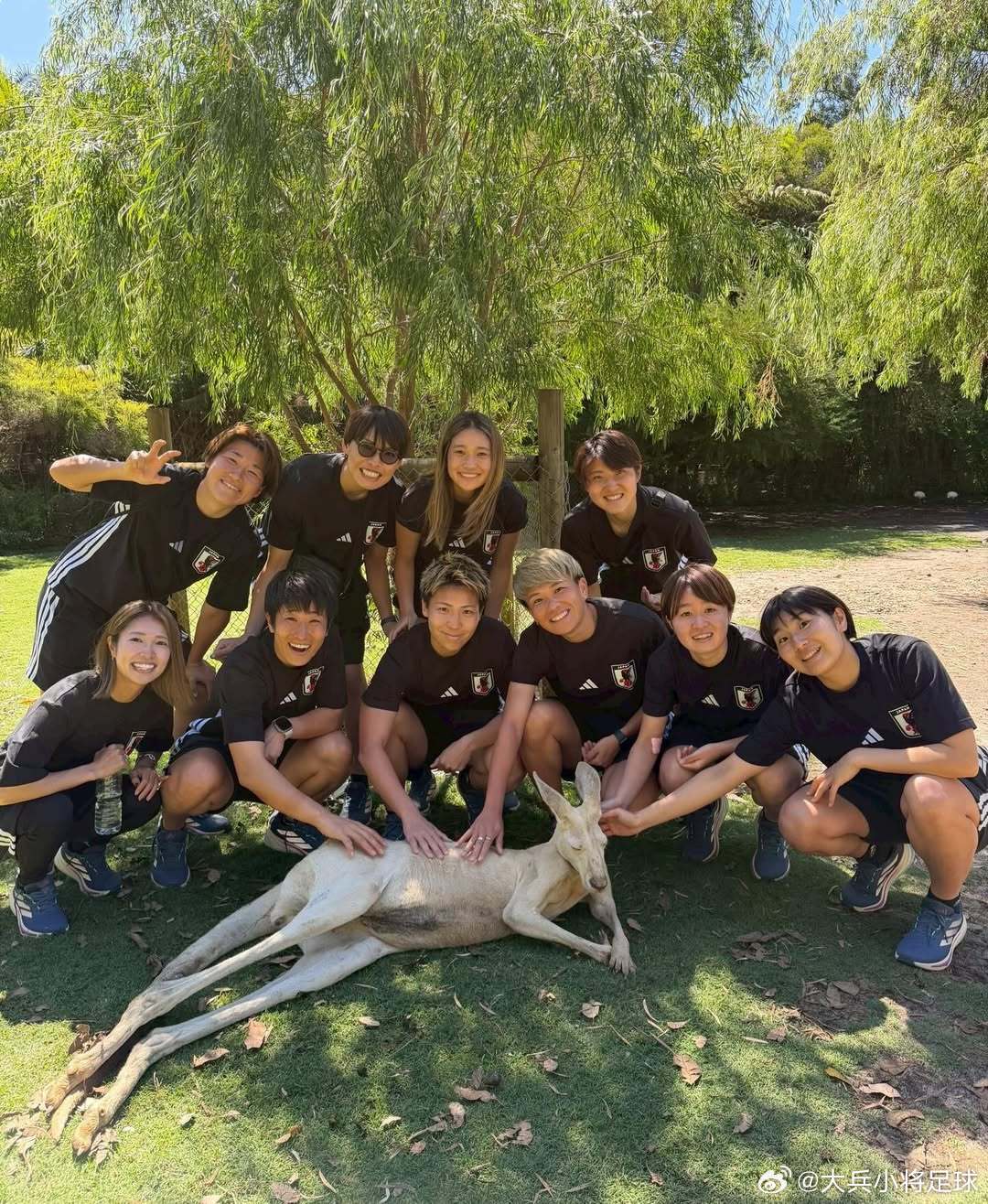 女足亚洲杯 袋鼠躺🦘nadeshiko japan日本女子代表Nadeshik
