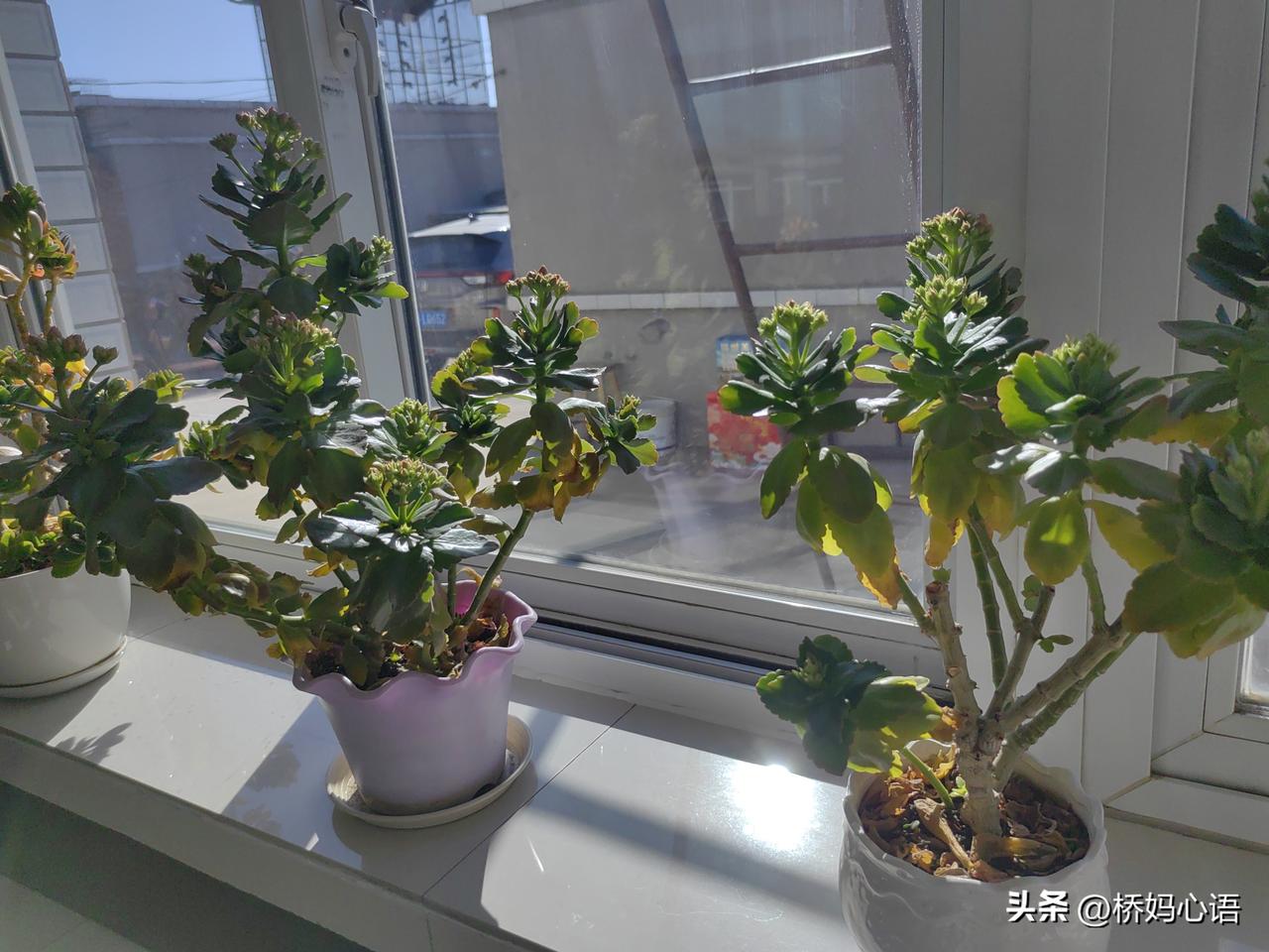 我闺蜜这神仙工作，干到80岁都没问题。

闺蜜坐办公室的，活不累。从家开车10多