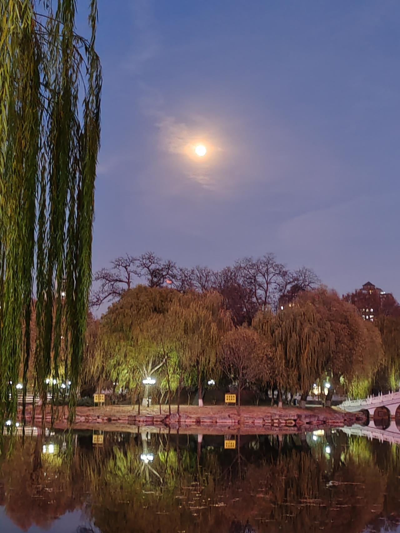 为什么短剧会成为流行趋势短剧之所以流行是它契合了当今社会的客观形势和人们的精神需