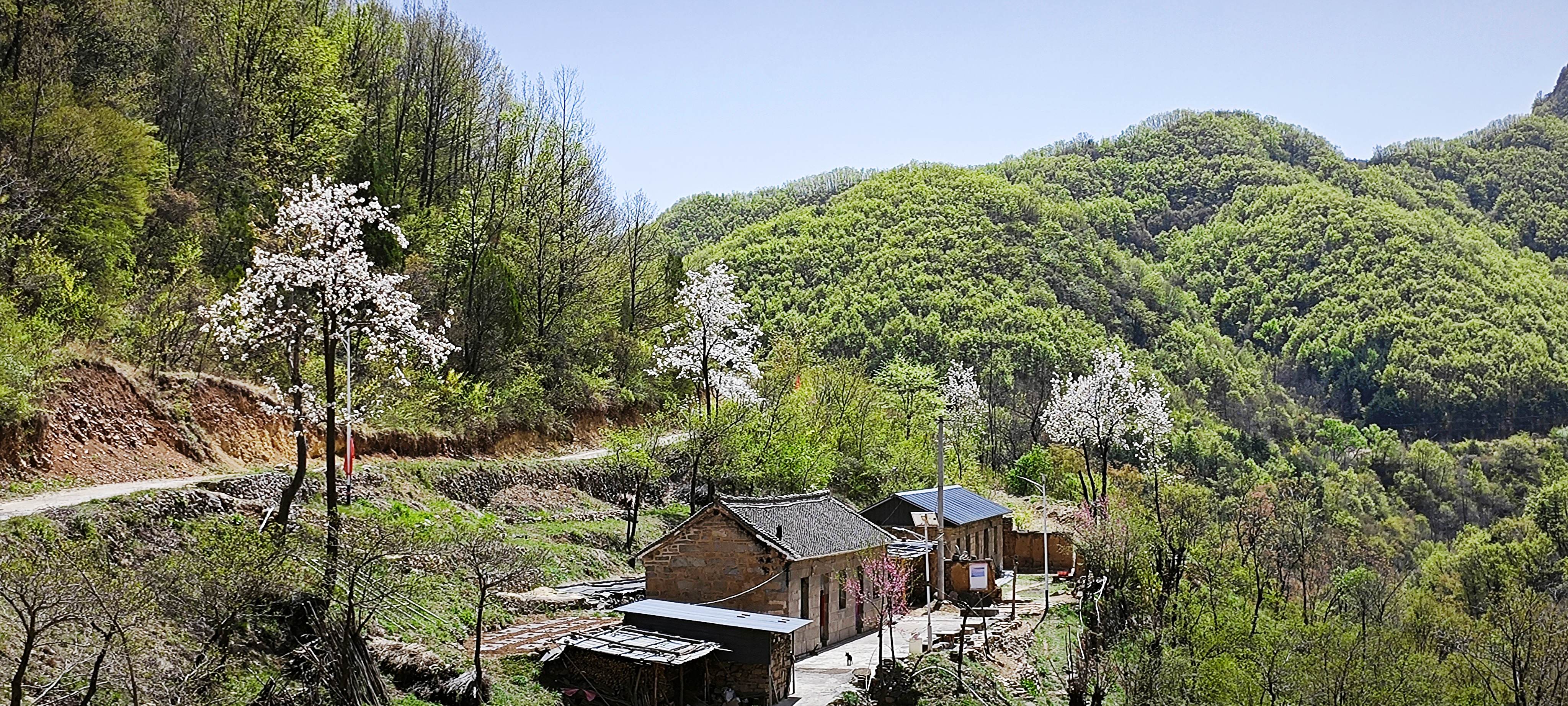 大山里的原生态 山间村落 治愈系自然风景 田园生活碎片 自然之美