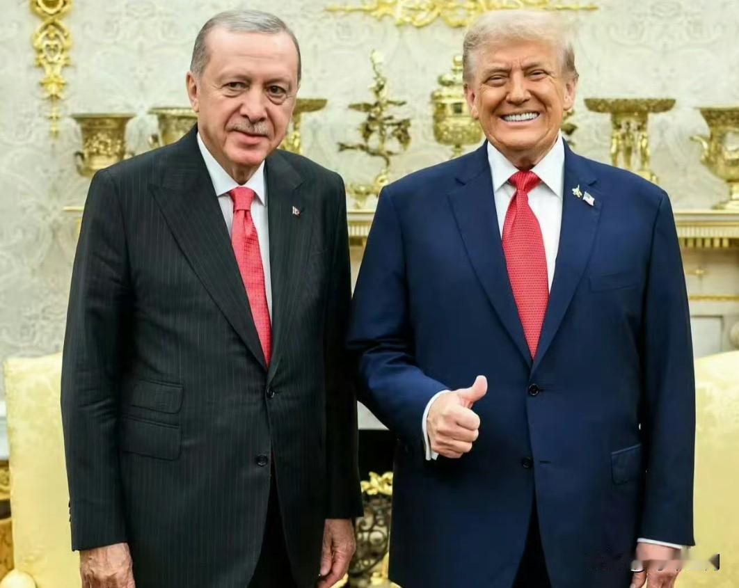 特朗普讲述他为何喜欢埃尔多安和欧尔班，大意就是说，这俩在联盟里是不太听话的刺头，