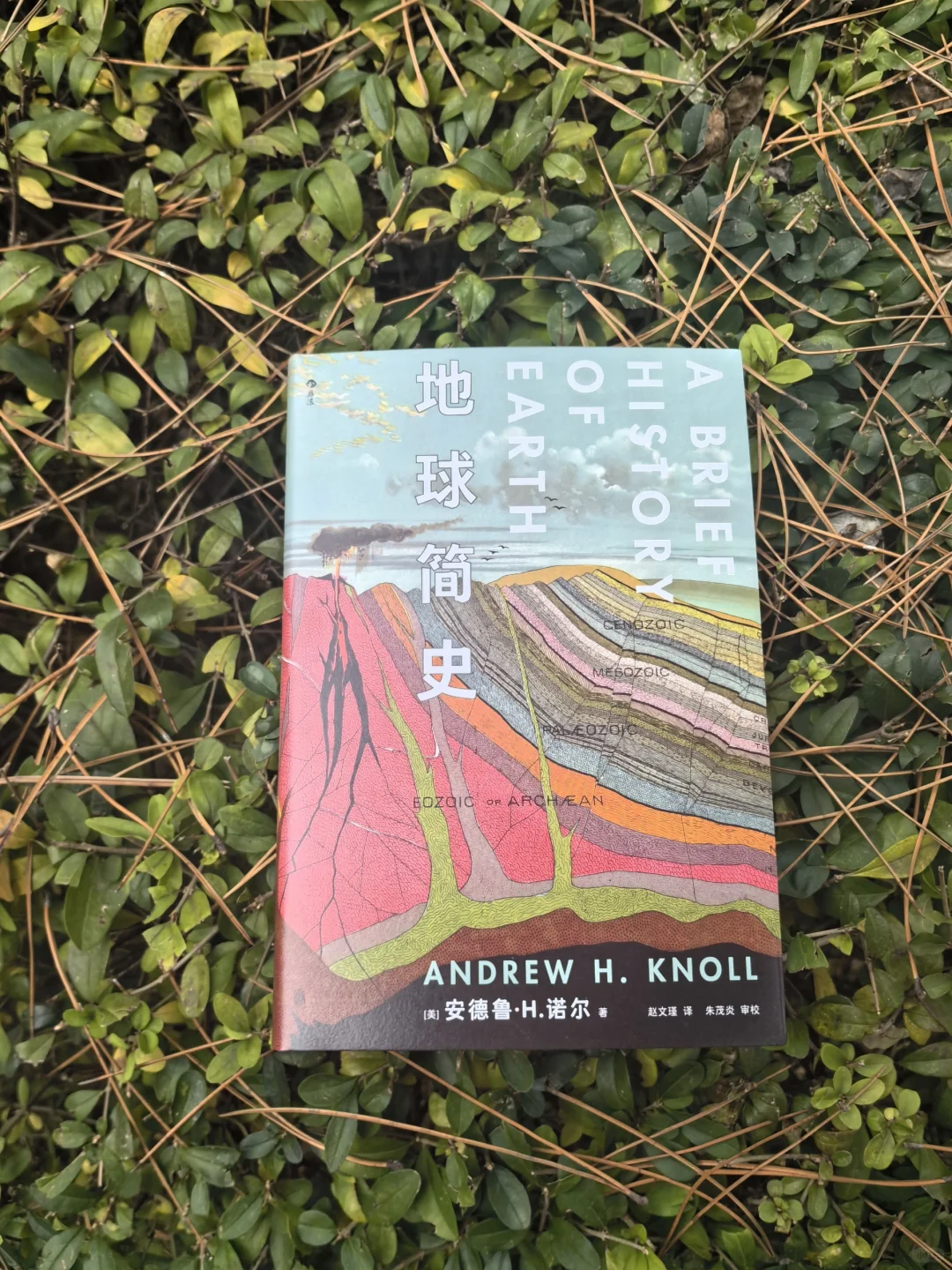 《地球简史》：是什么改变了地球？