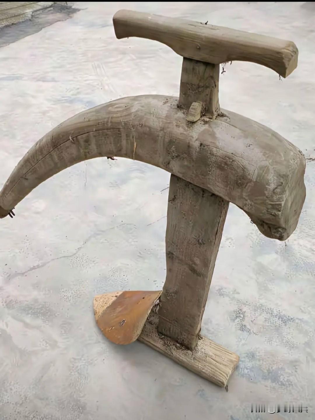 眼前这东西我保证99%的人都没见过，能够认识它的人说明是一个非常懂行的，这可是老