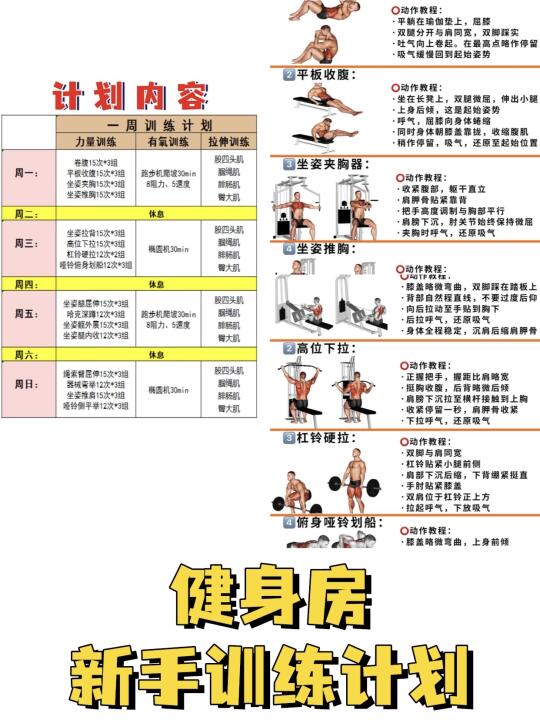 新手健身计划！附带详细教程，一周练全身