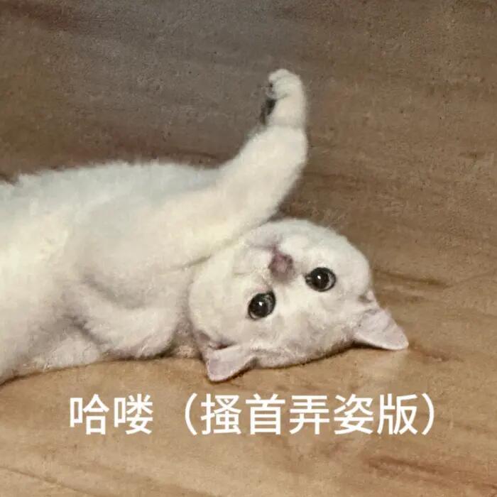 吴宣仪乘风2025wxy吴宣仪 今天咱们超喜欢的速度就比昨天快一些啦，非常好的！