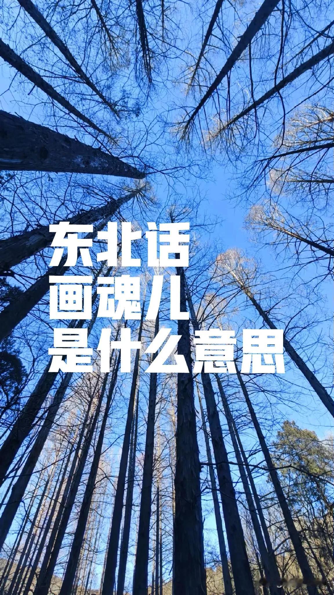 东北话“画魂儿”是什么意思？每天学习一点点，东北话博大精深，特别有意思。今天去话