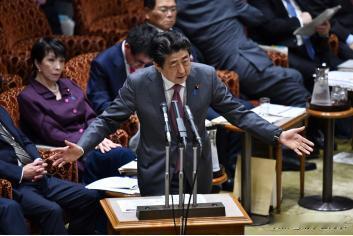 一张很有意思的照片！