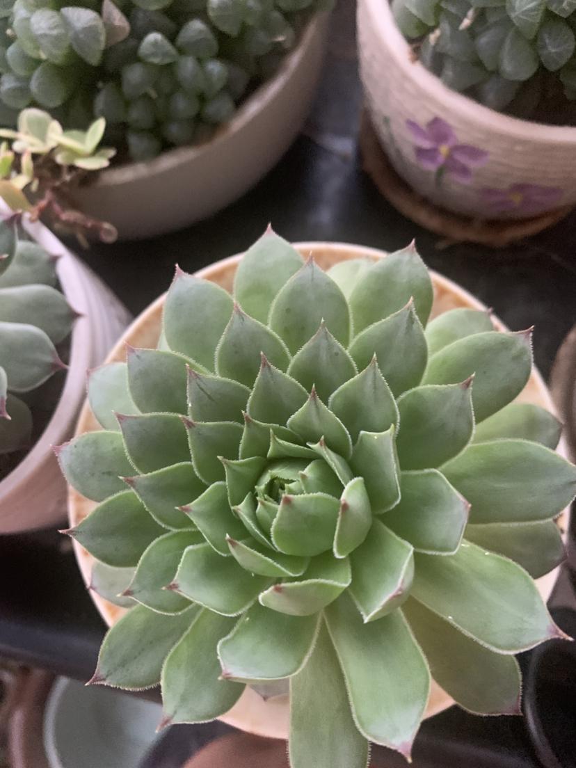 我的今日状态：😁轻松愉快
我这里的天气：🌧下雨
