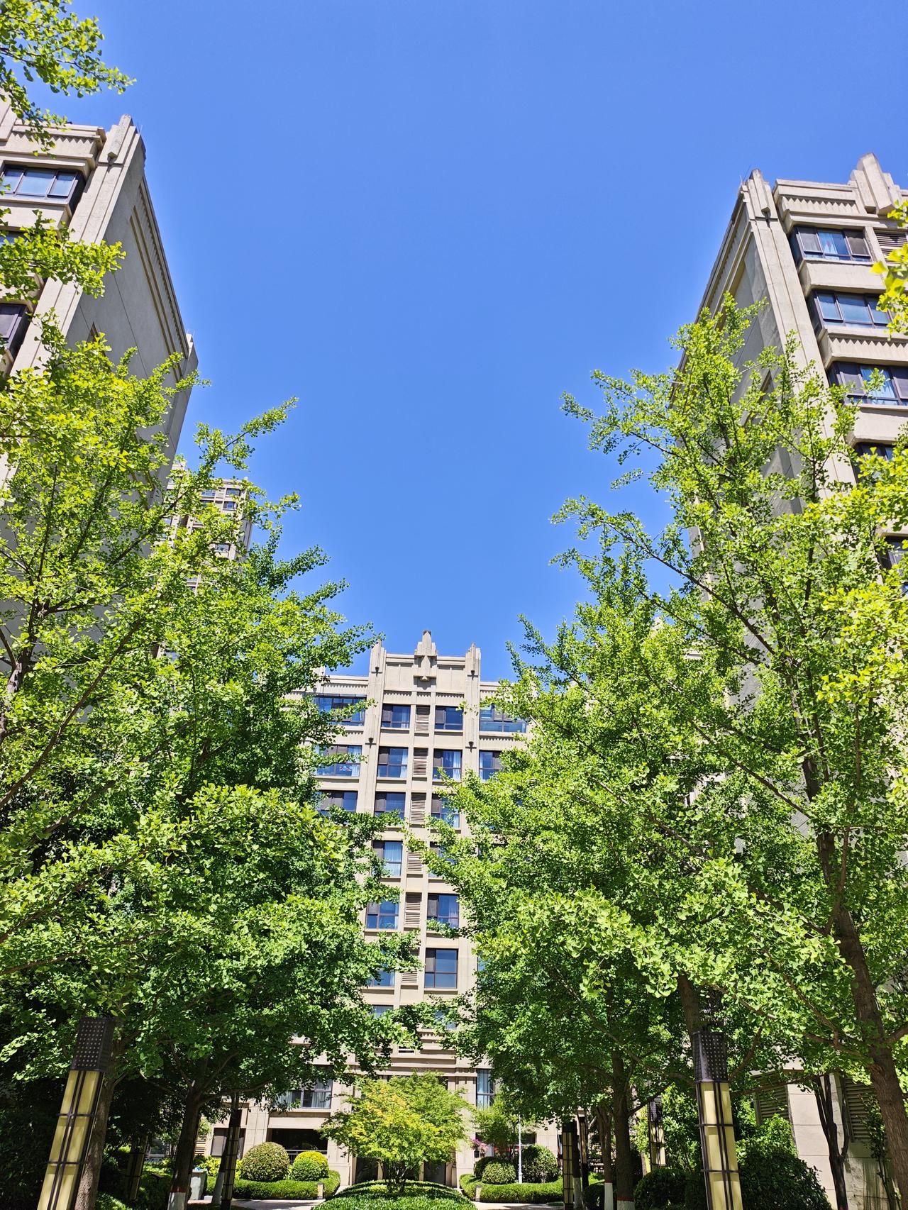 记录小区美丽的风景一场雨🌧️过后，天空特别的蔚蓝，空气格外清新，小区的石榴花开