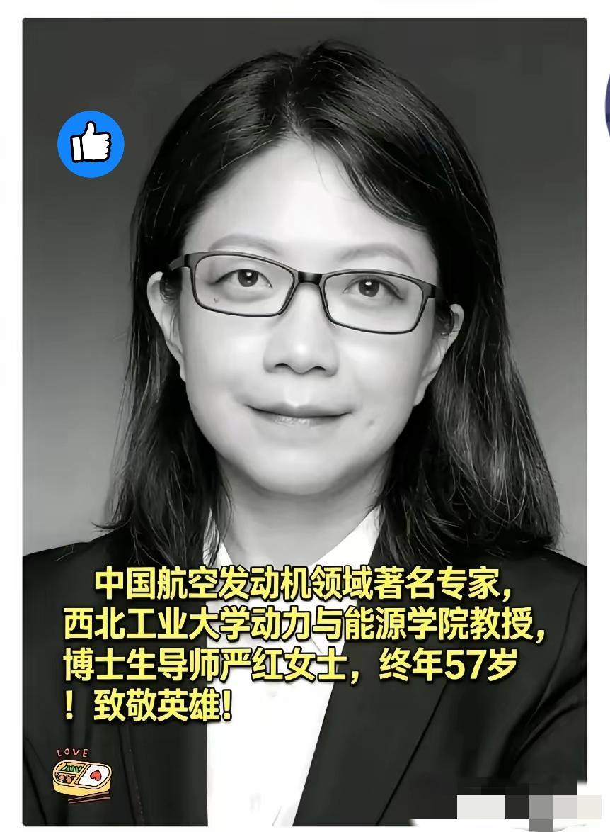 真的破防了！
3月24日热搜喧嚣不断，
西工大57岁航空发动机核心专家严红悄然离