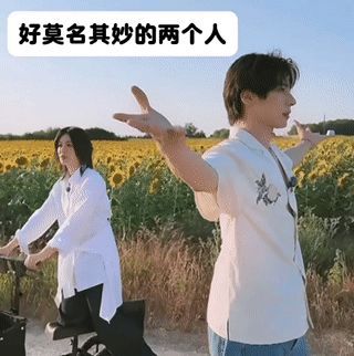 尚雯婕颜安咋这么好笑 尚雯婕说颜安是抽象怪，结果两人在向日葵地超合拍！颜安摆拍，