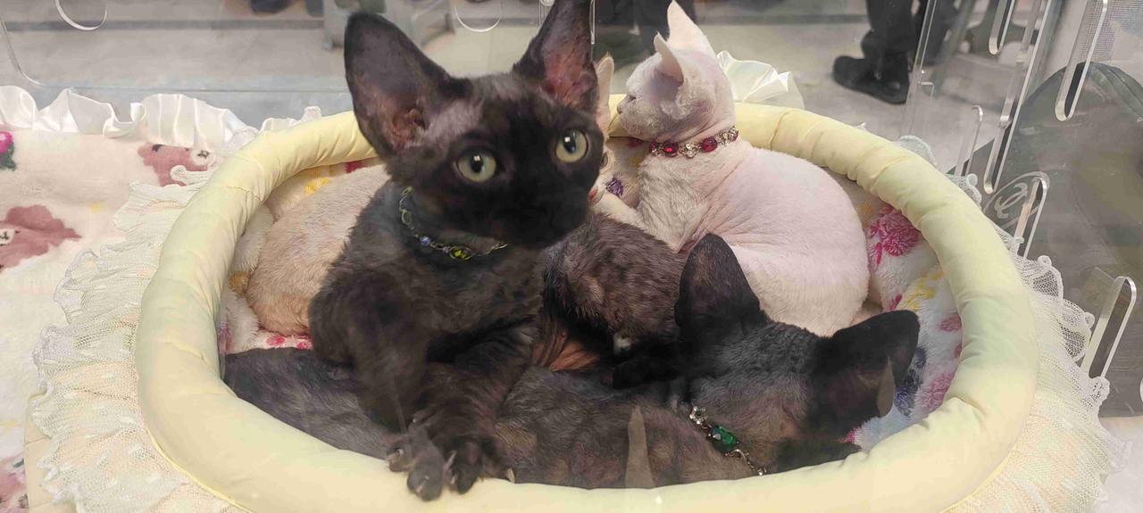 我的今日状态：😁轻松愉快
我这里的天气：☔