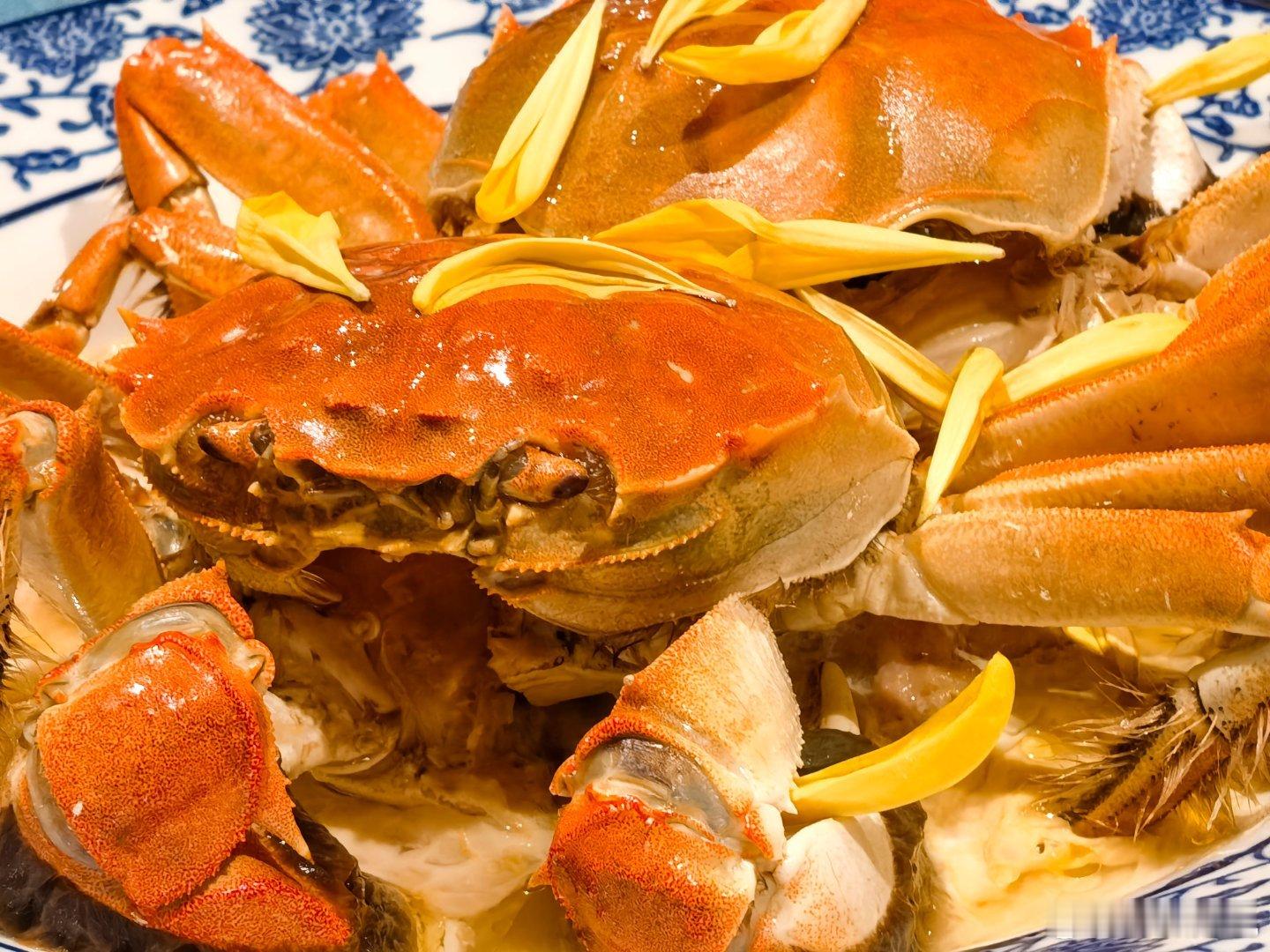 我高度怀疑，行动一到达临界时分，马杜罗就被自己卫队给控制了。等待美军陆战队直升机